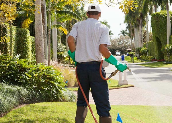 About Newton Lower Falls MA Pest Control Pros